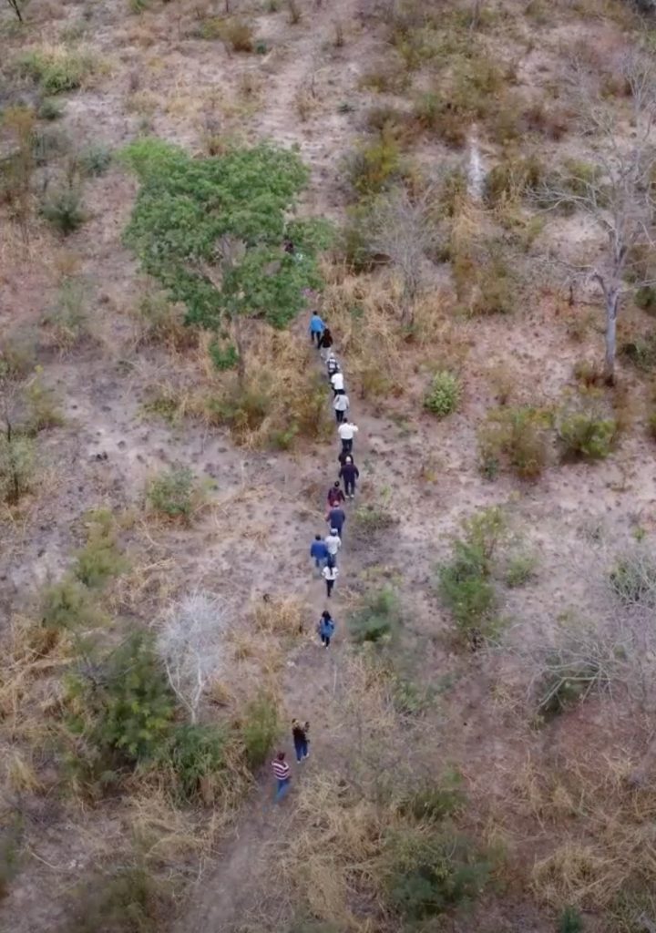 Um intercâmbio internacional sem precedentes tem lugar nas regiões semiáridas da Argentina