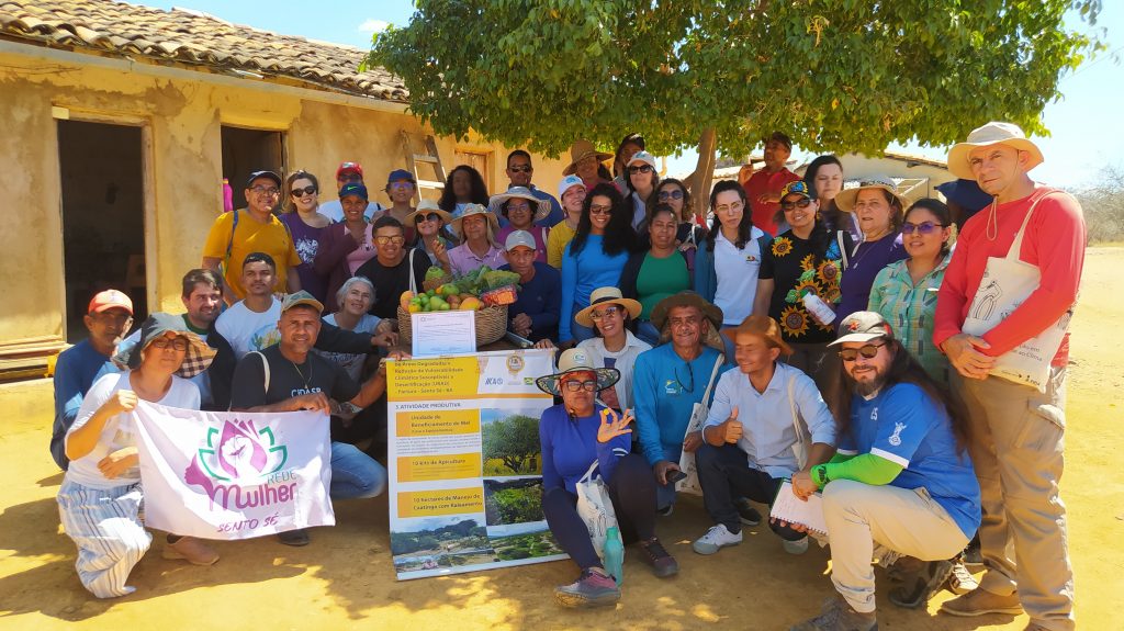Intercâmbio no sertão da Bahia revela potencialidades, avanços e também atraso no Semiárido brasileiro