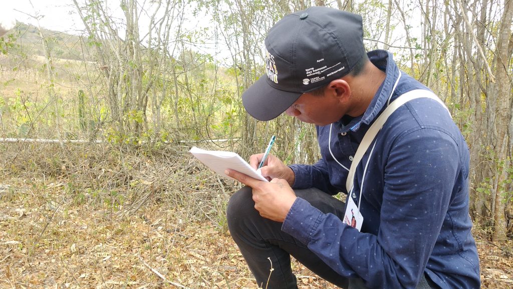 Explorando novos horizontes: jovem argentino compartilha sua experiência de intercâmbio no Brasil